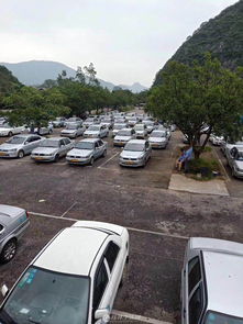 便捷学车，安全启程——桂林金鸡岭机动车驾驶员培训学校服务纪实